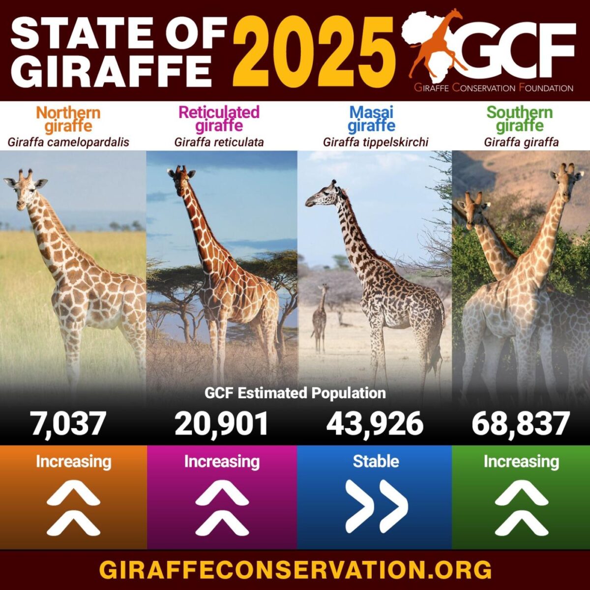 20250711